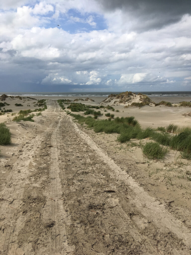 Picture of a road leading to the beach on an island in the Wadden Sea.